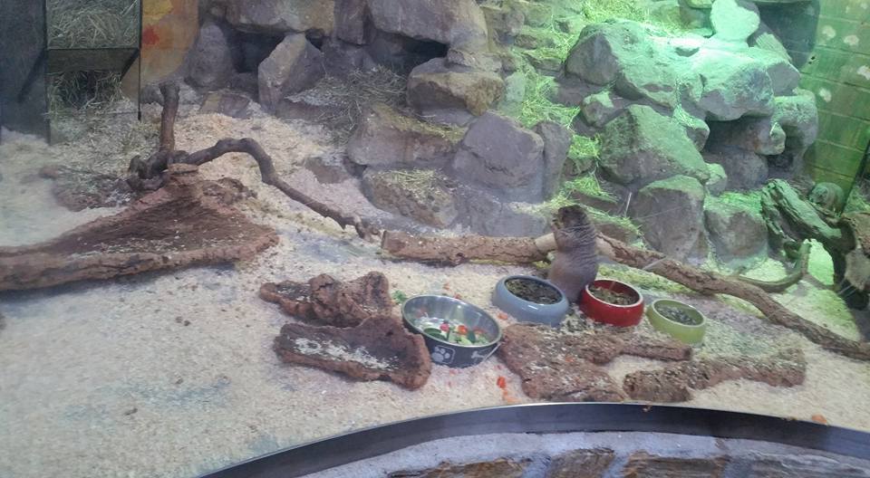 Biggest pet shop in the world